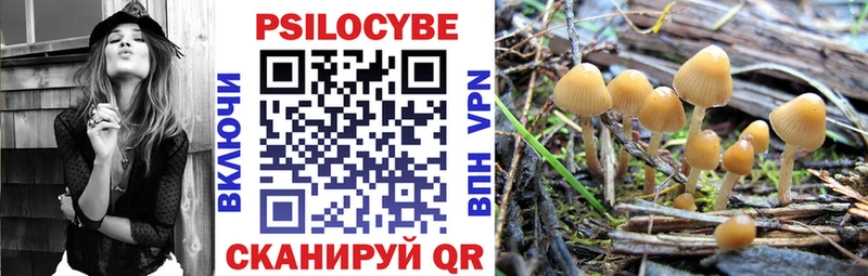 ОМГ ОМГ вход  Славгород  Галлюциногенные грибы MAGIC MUSHROOMS  закладка 