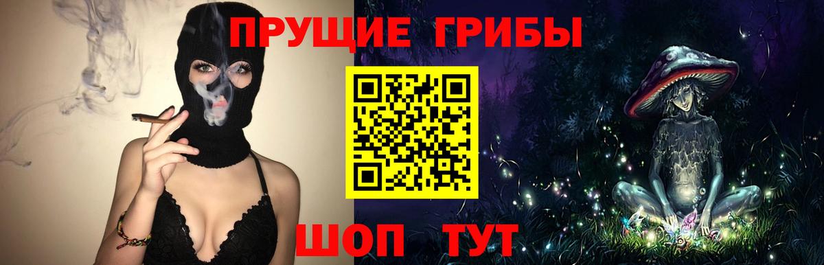 Славгород  Галлюциногенные грибы Magic Shrooms  Вход с VPN 